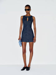 Pola Denim Mini Dress